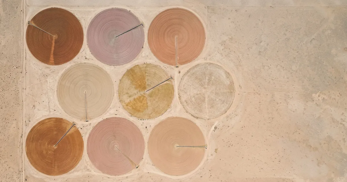 Nine circular fields seen from high above in muted terracotta, rust, and rose tones, eight with a thin irrigation arm stopped at a different angle like a clock hand and one field left pale and faded with no arm, suggesting state filings that come due at different times of the year